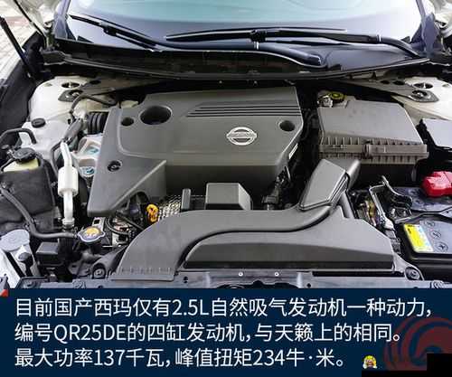 日产免费线路一二三四区别各具特色：详细解读其不同特点及优势