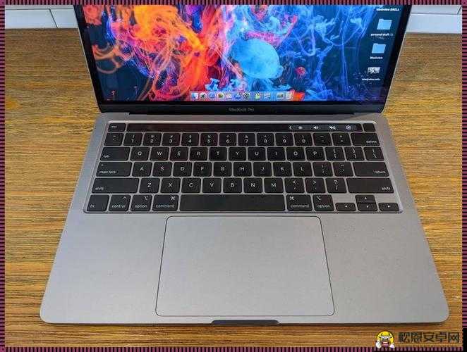 1819 岁 Macbook Pro 高清：强劲性能与卓越画质之选